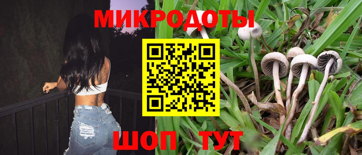 Орехово-Зуево  Псилоцибиновые грибы Cubensis  Вход с VPN 